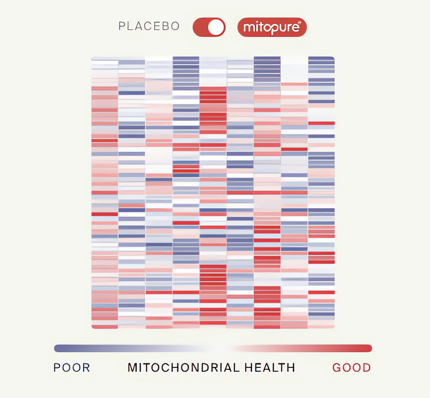 Clinical trial chart for Energy