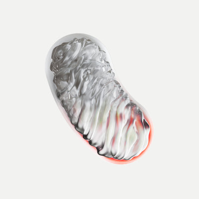 Day 02
